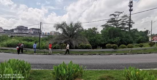 Advertising Billboard (Seremban)